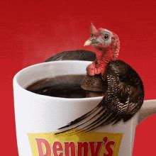 Funny Turkey GIFs | GIFDB.com