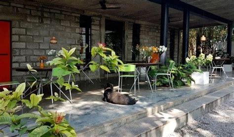Grasshopper Bangalore - Best Romantic Restaurant for Special Occasion ...