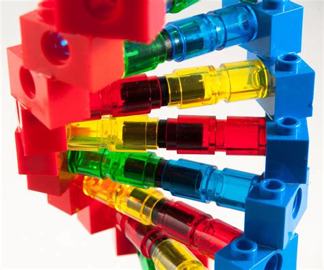 Pure Geek Deoxyribonucleic Acid DNA Building Block Model - Etsy