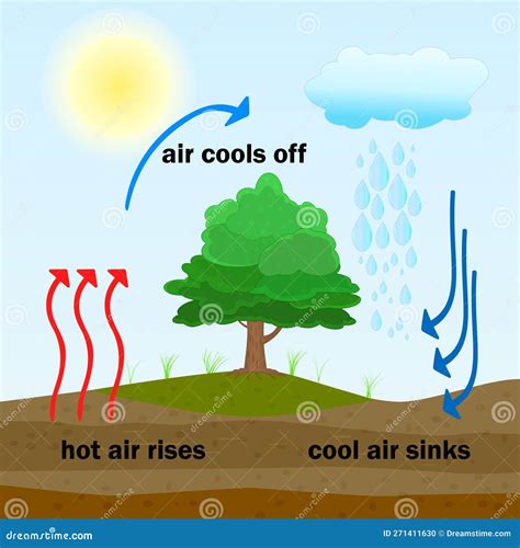 Convection Process Diagram. Warm Air Rises and Cool Air Sinks. Stock ...