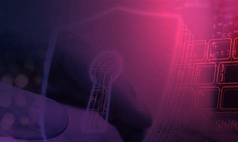 Data Misuse Examples 的图像结果