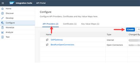 Create an API Provider System | SAP Tutorials
