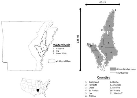 The Tradeoffs between Market Returns from Agricultural Crops and Non ...