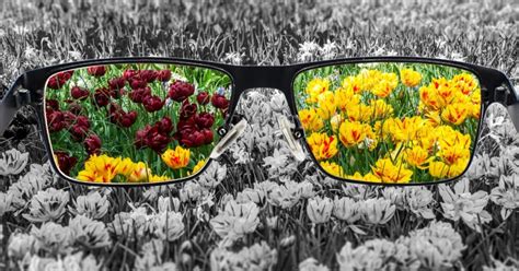 Different Perceptions 的图像结果