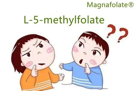 Image result for Different Types of Folate
