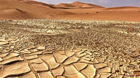 What Is the Climate in the Sahara Desert? Scorching Days and Freezing ...