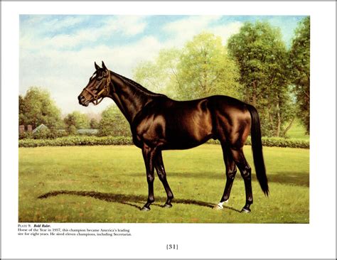 Bold Ruler Painted by Richard Stone Reeves. Race Horses, Thoroughbreds ...