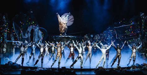 CATS is coming to Perth | CATS the Musical | Australia | 2026