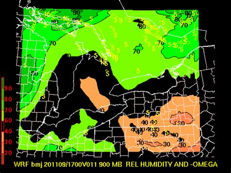 WRF (NAM -- Betts-Miller-Janjic) 900mb Vertical Velocity RH