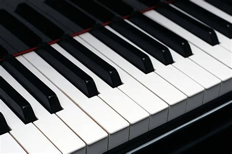 Image result for Piano Roblox Corpse Bride