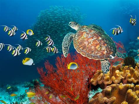 The best time to visit Chikmagalur | Condé Nast Traveller India