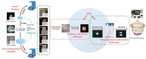 Swelling Behaviour of Polystyrene Microsphere Enhanced PEG-Based ...