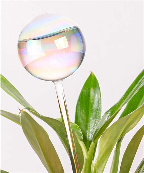 Buy Plant Watering Globe in India at Best Price - Zop by Shiprocket