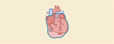 Cardiac Tamponade Vs Pericardial Effusion | Understand the differences ...