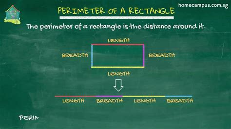 Rectangle Perimeter Formula 的图像结果