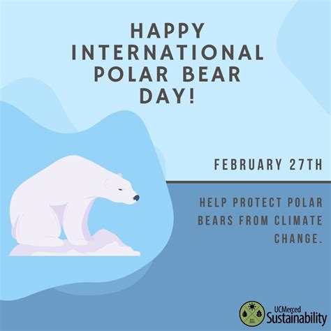 International Polar Bear Day | Sustainability