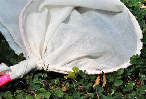 DIY Insect Net 的图像结果