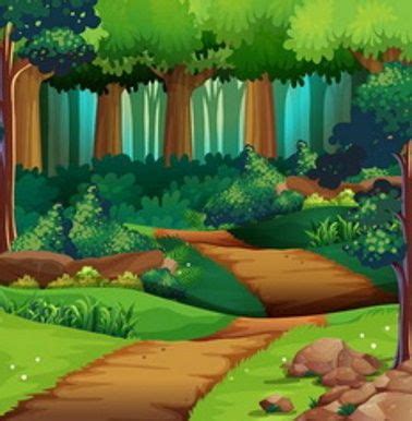 Image result for Python Dans Foret