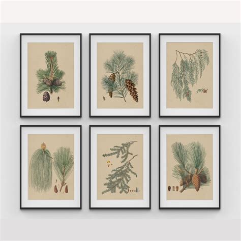 Vintage Botanical Art, Vintage Winters, Art Set of 6 – Dessine Art