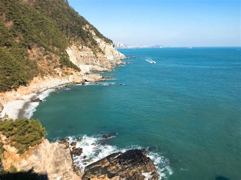 TAEJONGDAE (2025) All You Need to Know BEFORE You Go (with Photos ...