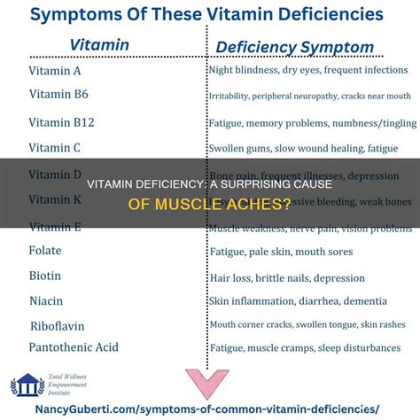 Vitamin Deficiency: A Surprising Cause Of Muscle Aches? | CyVigor