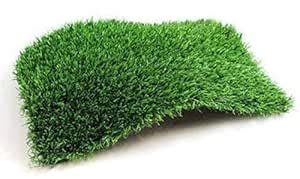 Buy Loomantha Miles To Go. 1 Piece PVC Artificial Grass Door Mat ...