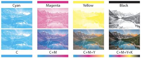 Image result for Printer Color Defect Names