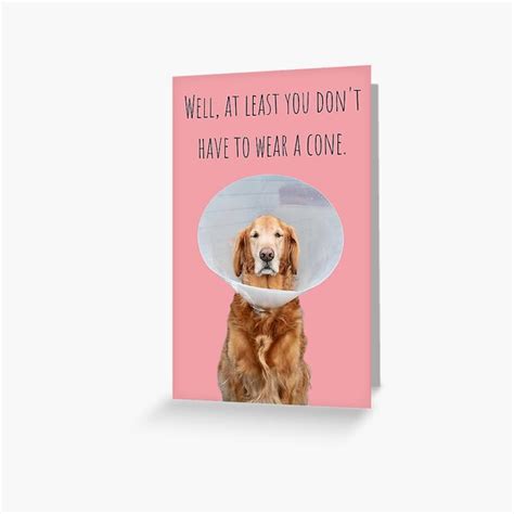 "At Least You Don't Have to Wear a Cone Greeting Card Get Well Son ...