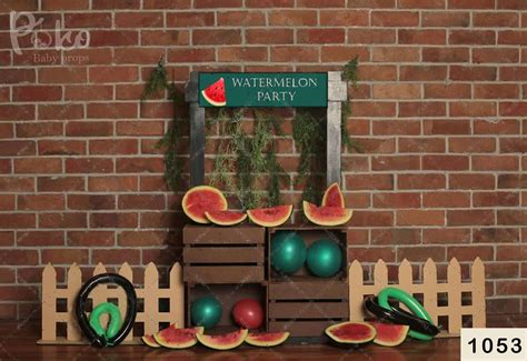 Watermelon Party Backdrop-fruit backdrop – Poko baby props