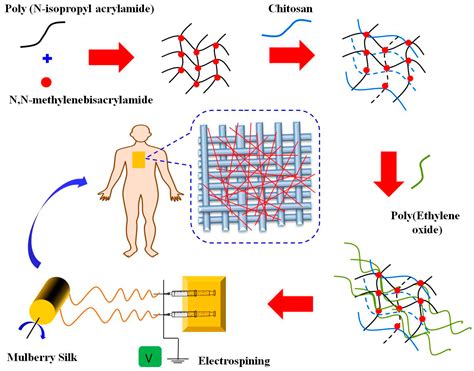 Multifunctional Surface Modification of Mulberry Silk Fabric via ...