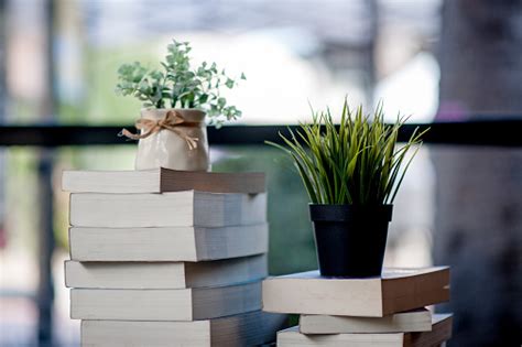 Image result for Book Report Introduction Examples