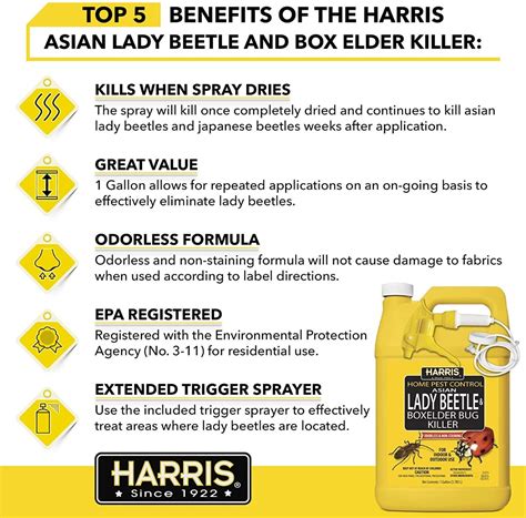 Harris Home Pest Control Asian Lady Beetle & Box Elder Bug Killer ...