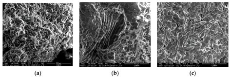 Potential Use of Biochar from Various Waste Biomass as Biosorbent in Co ...