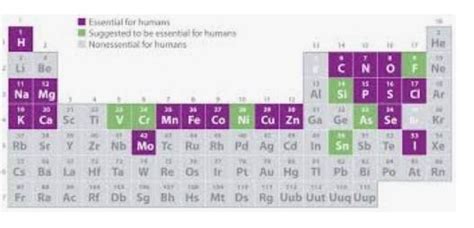 Why periodic table important for human life - Brainly.in