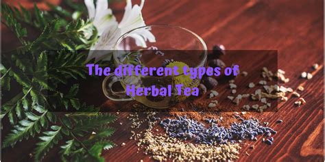 The Tea House Chronicles Types of Tea - Tea talk - Types of Tea