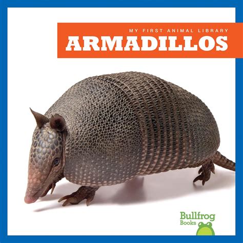 Buy Armadillos (My First Animal Library) Book Online at Low Prices in ...