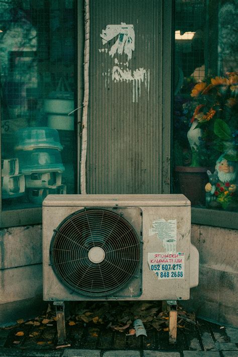 Ass+In+The+Air Photos, Download The BEST Free Ass+In+The+Air Stock ...