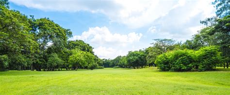 Public Parks In Al Wakrah, Qatar: Our Top Picks