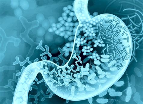 Disease-linked gut microbiome varies with age - Health and Disease - Medium