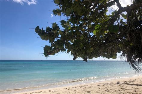 Bayahibe Village - All You Need to Know BEFORE You Go