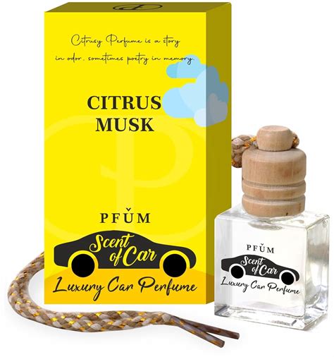 PFUM Citrus Scent of Car Hanging Car Perfume 10ml / 60 Days Pack/Long ...