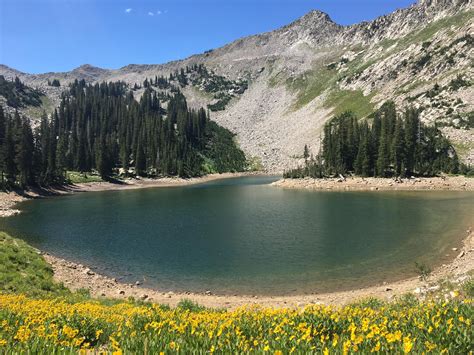 Zillow Little Cottonwood Canyon at Joanna Swanner blog