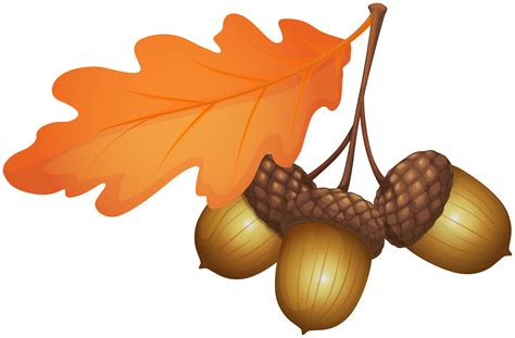 Fall Acorn Clip Art