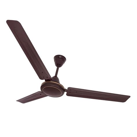 BPL CF 1200 Speed Guru Neo HS Brown