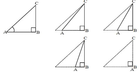 Introduction to Trignometry, Class 10, Maths Detailed Chapter Notes PDF ...