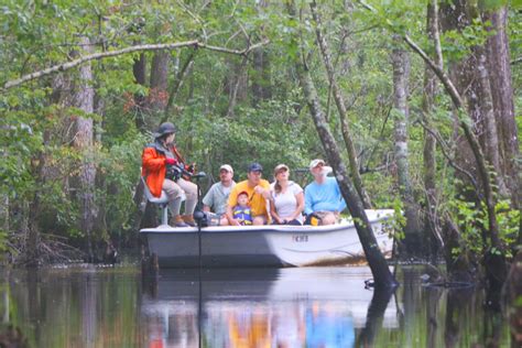 Swamp Boat Eco-Tours - Shallotte River Swamp Park
