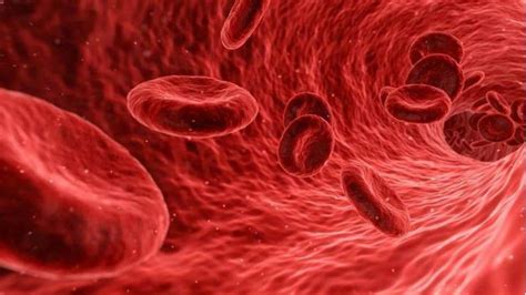 #HealthBytes: Kekurangan hemoglobin? Berikut beberapa cara untuk ...
