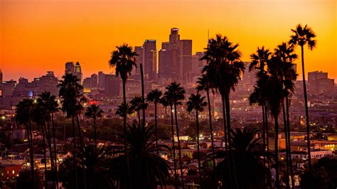 Download wallpaper 1920x1080 city, palm trees, sunset, buildings ...