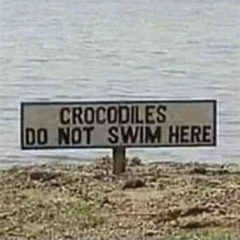 Watts On 21 May 2024