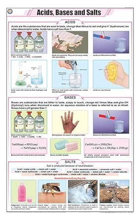 Buy STC45 | TeachingNest | Acids, Bases and Salts Chart (58x90 cm ...